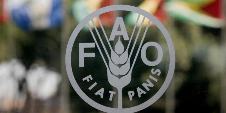 FAO: Venezuela es el mejor ejemplo de retroceso en la lucha contra el hambre