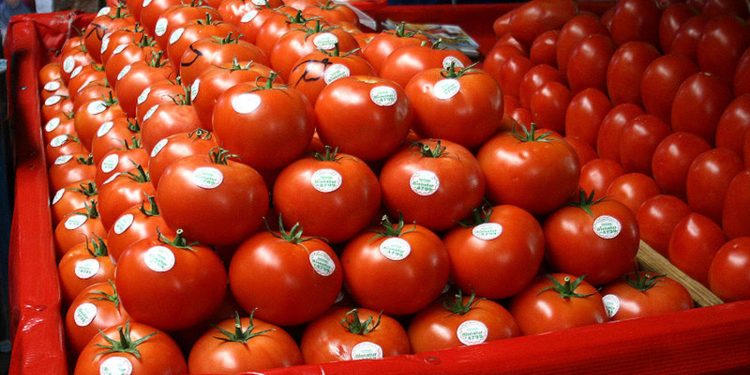 Exportaciones de México hacia Florida se incrementaron en 43%