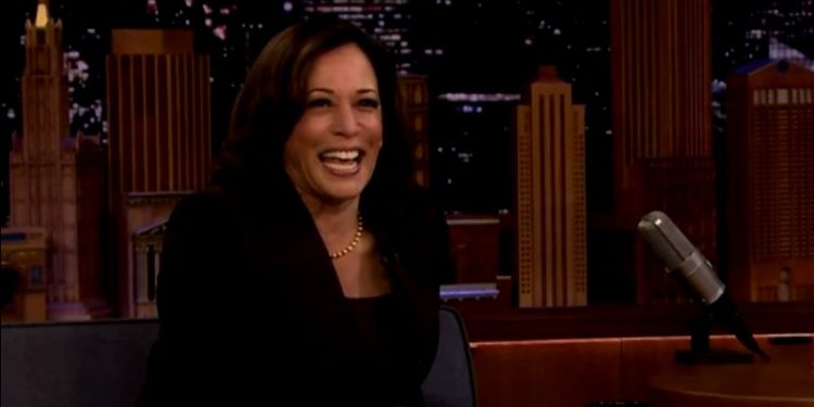 De llegar a la Casa Blanca, Kamala Harris obligará a los ciudadanos a entregar sus armas de asalto