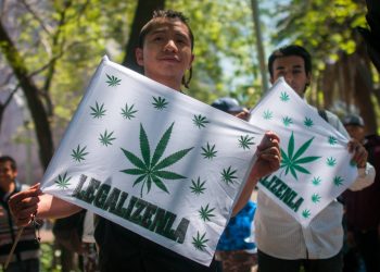 El partido de López Obrador busca legalizar la marihuana para el consumo personal