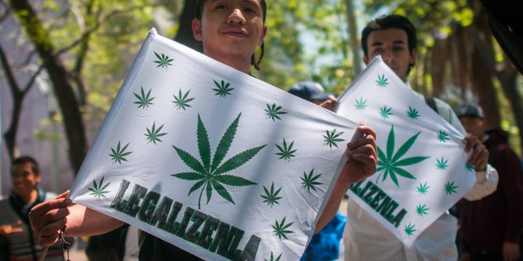 El partido de López Obrador busca legalizar la marihuana para el consumo personal