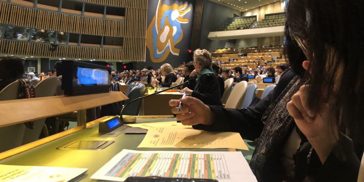 Venezuela mantiene puesto en Consejo de DDHH de la ONU junto a Brasil