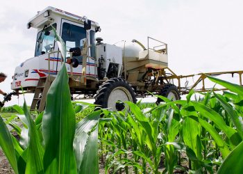Agencia de Protección Ambiental financia desarrollo de la fuerza laboral en Tampa
