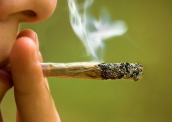 Make It Legal Florida consigue las firmas para llevar su propuesta a una revisión judicial