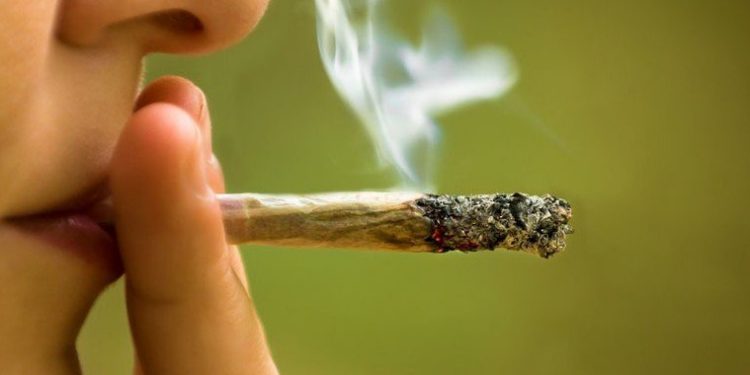 Make It Legal Florida consigue las firmas para llevar su propuesta a una revisión judicial