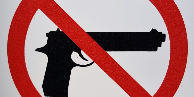 En Florida quieren seguir el ejemplo del Condado de Lake tras convertirse en el ‘santuario de la segunda Enmienda’