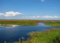 Presentaron plan para eliminar tanques sépticos viejos del lago Okeechobee en Florida