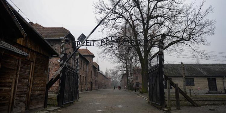 Escuelas de Miami viajaron a Polonia para conocer del Holocausto