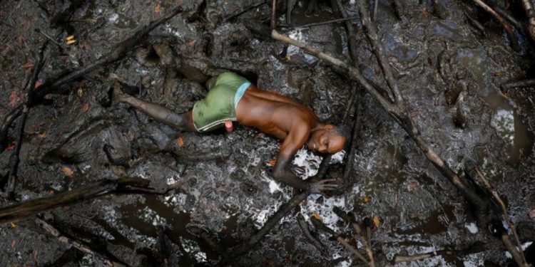 Paisaje del Amazonas cambia radicalmente debido al fuego