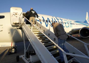 ICE: Cubanos deportados desde EE.UU. lograron récord histórico en 2019