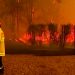Bomberos estiman que el gigantesco incendio cerca de Sídney podría arder semanas