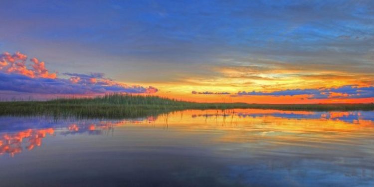 Everglades: Lo que se debe hacer para proteger la costa de Florida