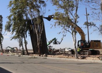 Muro fronterizo de Trump cae por fuerte viento (Video)