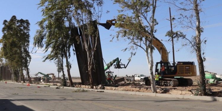 Muro fronterizo de Trump cae por fuerte viento (Video)