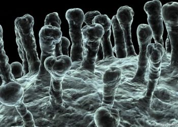 Desarrollo de vacunas contra el coronavirus podrían estar en tiempo record con nueva tecnología