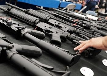 Corte Suprema de Florida indecisa por ley de armas de asalto y la propuesta de la marihuana recreativa