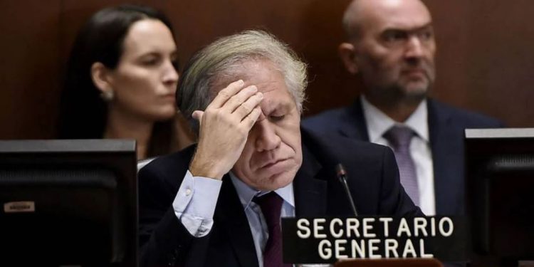 Luis Almagro fue reelecto para conducir la OEA