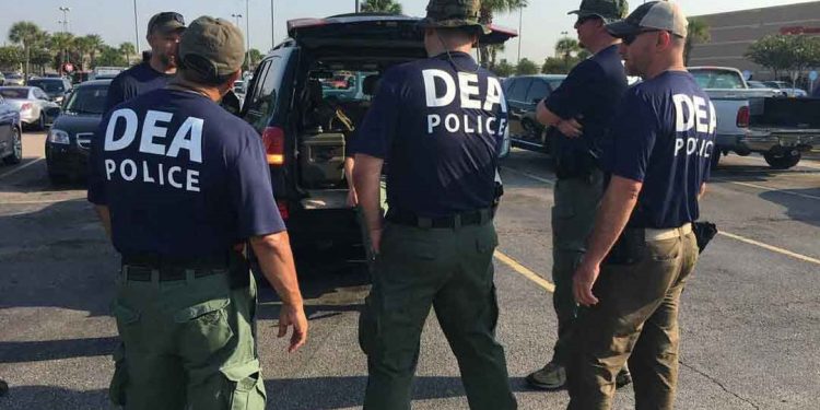 Mas de 700 detenidos en golpe contra el Cartel Jalisco, mediante la Operación Pitón