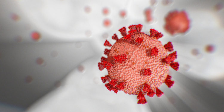 Síntomas del coronavirus: 10 indicadores clave