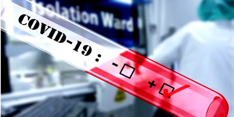 Debate económico en EEUU se complica por tensiones sobre el acceso a tests de Covid-19