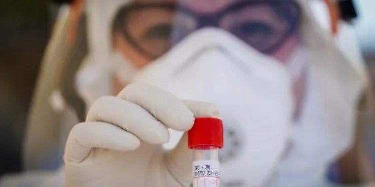 Vacuna contra covid-19 obtiene resultados prometedores en pruebas con ratones