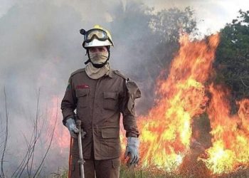 Dia de la Madre Tierra:         La emergencia ambiental es tan grave como la pandemia