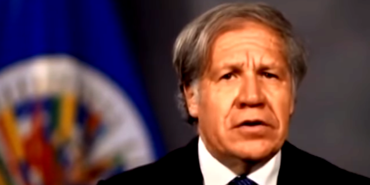 OEA alerta sobre la presencia de Irán en la región tras acusaciones contra El Zabayar