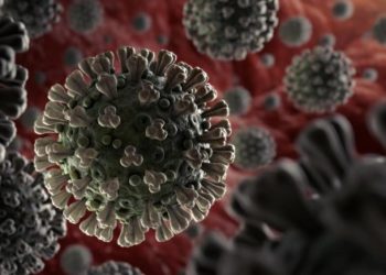 Decesos en Brasil por coronavirus se ubican en 11.519