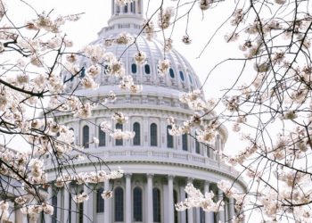 Documento que habla del doble de muertos en Estados Unidos por COVID-19 fue desmentido por un portavoz de la Casa Blanca