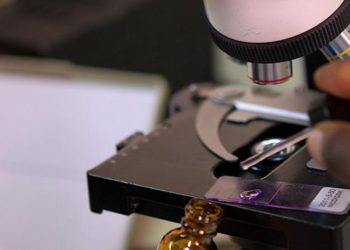 El "bio-espionaje" chino tomó como víctima a Bélgica