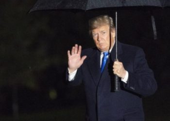 En Florida se desploma: Trump sigue bajando en las encuestas