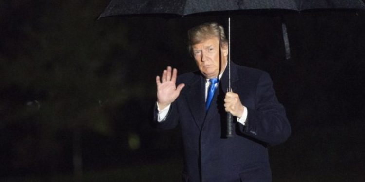 En Florida se desploma: Trump sigue bajando en las encuestas