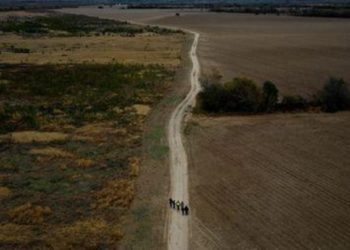 Aumentan las detenciones de migrantes en frontera EEUU-México pese a la pandemia