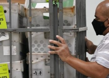 Florida: Demócratas tienen una ventaja importante en las solicitudes de boleta electoral por correo