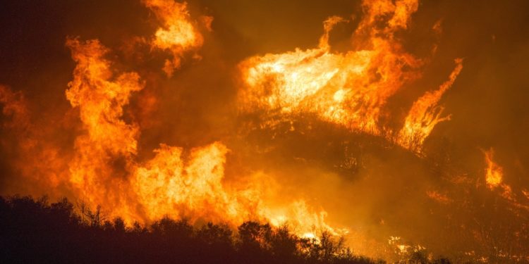 ¡California se calcina! Más de 20 incendios simultáneos rodean a residentes del estado (Video)
