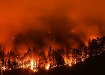 El fuego activa la furia política