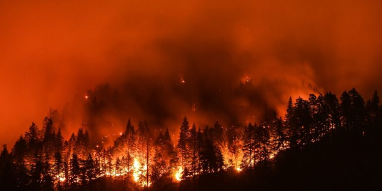 El fuego activa la furia política