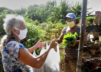 Efectos económicos de la pandemia en latinoamérica