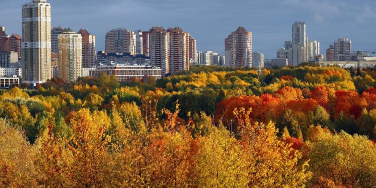 Todas las políticas de vivienda son insuficientes