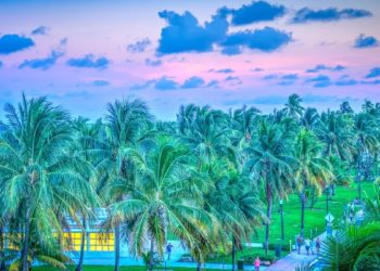 Ahora: Donald Trump gana Florida