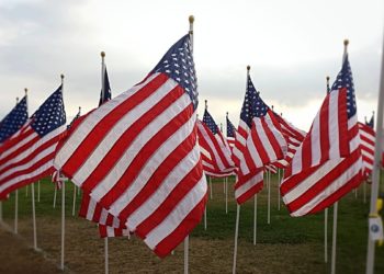 Votos electorales para Presidente; Senadores y Representantes por partido
