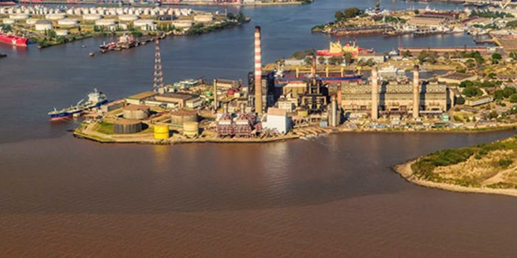 Impacto de las elecciones estadounidenses en Argentina y su economía