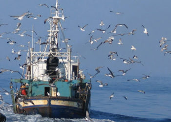 Reino Unido y Comisión Europea siguen buscando un brexit acordado