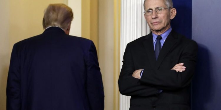 ¡La propuesta! Biden invita a Fauci a ser parte de su equipo… ¿Qué contestó el Dr.?