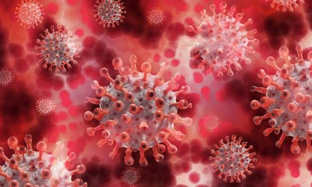 Claves para entender el coronavirus mutante