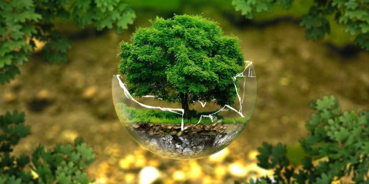 ¿Vivimos ya el cambio climático?