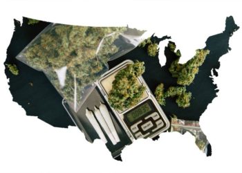 Legisladores de Nueva York acuerdan legalizar uso lúdico de la marihuana