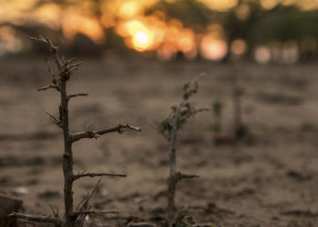 ONU advierte incumplimiento general del Acuerdo de París