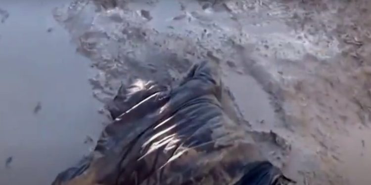 Siria usó armas químicas prohibidas contra sus ciudadanos