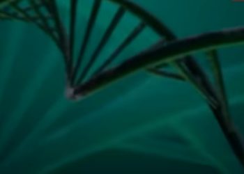 ¿Qué se sabe de la mutación india del COVID que alarma al mundo?